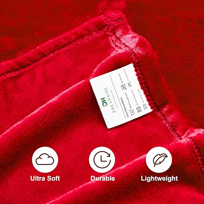 DREAMNINE Pack of 10 Fuzzy Soft Fleece Throw Blanket for Couch Sofa 50" x 60", Decorative Solid Lightweight Velvet Blankets for Chair, Cozy Accent Shaggy Plush Flannel Blanket for Bedroom, Red