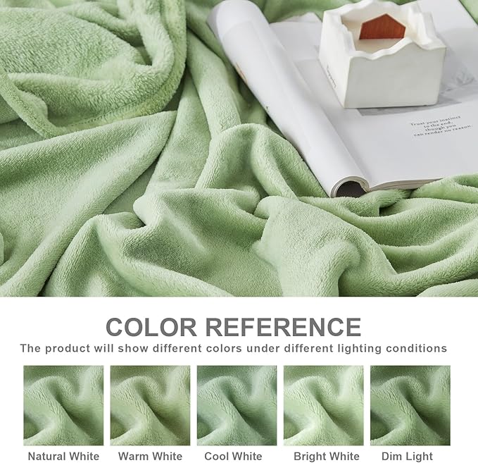 Hansleep Fleece Sage Green Twin Blanket, Super Soft Flannel Fuzzy Plush Cozy Blanket for All Seasons, Sage Green, Twin 60x80 Inches