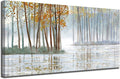 Arjun Birch Trees Wall Art Canvas Forest Landscape Picture Painting, Nature Modern Artwork Large Framed for Living Room Bedroom Home Office Wall Decor 48"x24"
