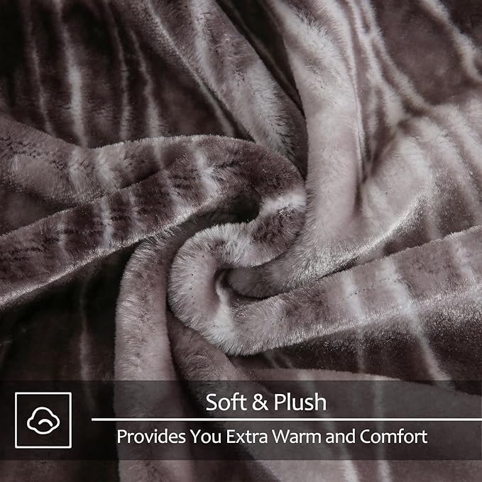 JYK Soft Fleece Bed Blanket Queen Size 5 LB, Korean Style 2 Ply Reversible Fluffy Flannel Blanket Microfiber, Warm Cozy Blanket for Autumn, Winter 75x87 Inches - Black White Tiger/Tiger Stripes