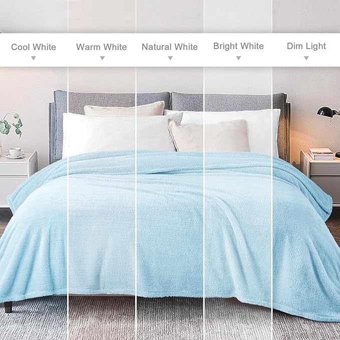 Exclusivo Mezcla Queen Size Blanket for Bed, Super Soft Velvet Plush Fleece Blankets, Fuzzy Cozy and Warm for Winter, 90x90 Inches, Light Blue