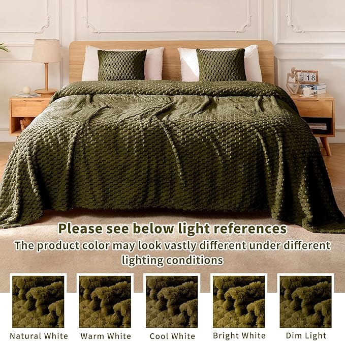 FY FIBER HOUSE Fleece Throw Blanket for Couch 300GMS Super Soft Plush Fuzzy Blankets Lap Blanket for Office Sofa, 50x60 Inches, Olive Green
