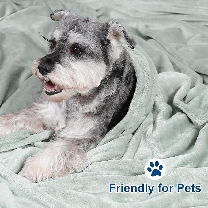 PHF Ultra Soft Fleece Blanket Queen Size, No Shed No Pilling Luxury Plush Cozy 300GSM Lightweight Blanket for Bed, Couch, Chair, Sofa, Perfect Decorations Gifts, 90" x 90", Jasper Stone