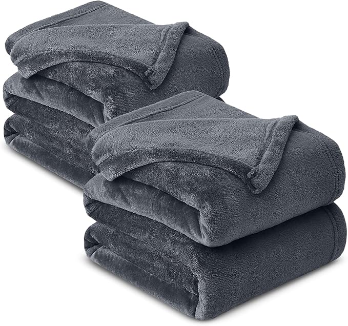 MOONLIGHT20015 Fleece Blanket 2 Pack Twin Size 60 x 80 Inches - Super Soft Fluffy Throw Blanket for Sofa and Bed - Warm and Cozy Lightweight 400 GSM Microfiber Bed Throws Blankets (Twin, Grey)