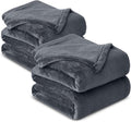 MOONLIGHT20015 Fleece Blanket 2 Pack - Super Soft Fluffy Grey Throw Blanket for Sofa and Bed - Warm and Cozy Lightweight 400 GSM Microfiber Bed Throws Blankets, 50x60 Inches (Throw/Travel)