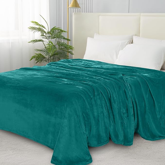Elegant Comfort Luxury Velvety Softness Fuzzy Plush Micro-Velour Ultra-Soft Blanket, Full/Queen, Teal