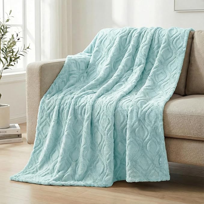 Horaldaily Solid Blanket Throw, Blue Accent Farmhouse Neutral Square Euro Soft Fuzzy Plush Faux Fur Cozy Blankets for Couch Sofa Bed Lounging, Ideal Gifts for Kids Adults Wife Self, 50x60
