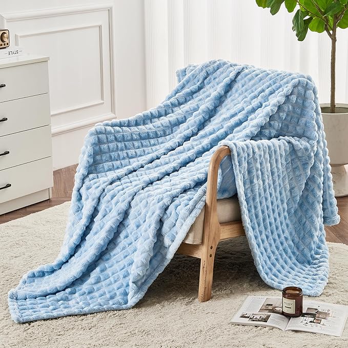 FY FIBER HOUSE Throw Blanket for Couch Soft Warm Fuzzy Twin Size Blankets for Sofa All Season Use, 60x80 Inches, Blue