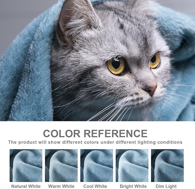 Hansleep Fleece King Size Blanket for Bed Washed Blue, Super Soft Flannel Fuzzy King Size Plush Cozy Blanket for All Seasons, Washed Blue, King 90x108 Inches