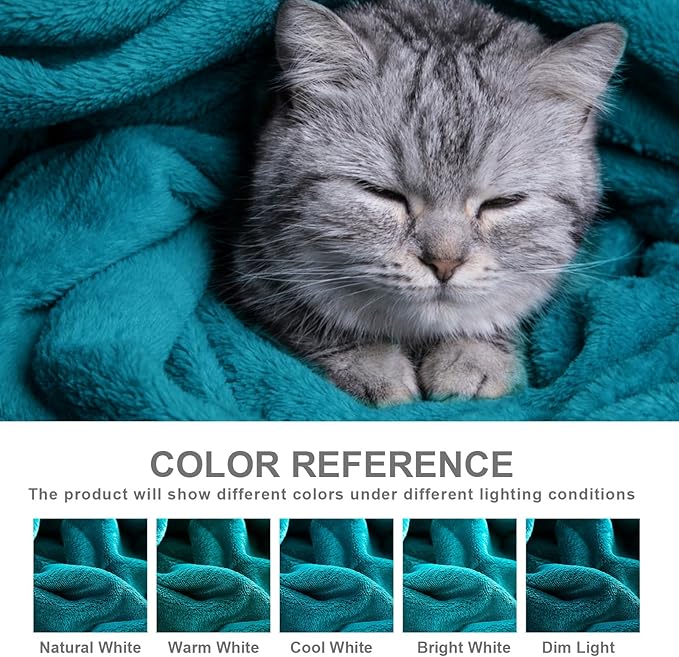 Hansleep Fleece Blanket Twin Size Teal, Soft Cozy Twin Blanket, Fuzzy Flannel Blanket for Bed, Sofa, Couch, Travel, Camping, Teal, 60x80 Inches