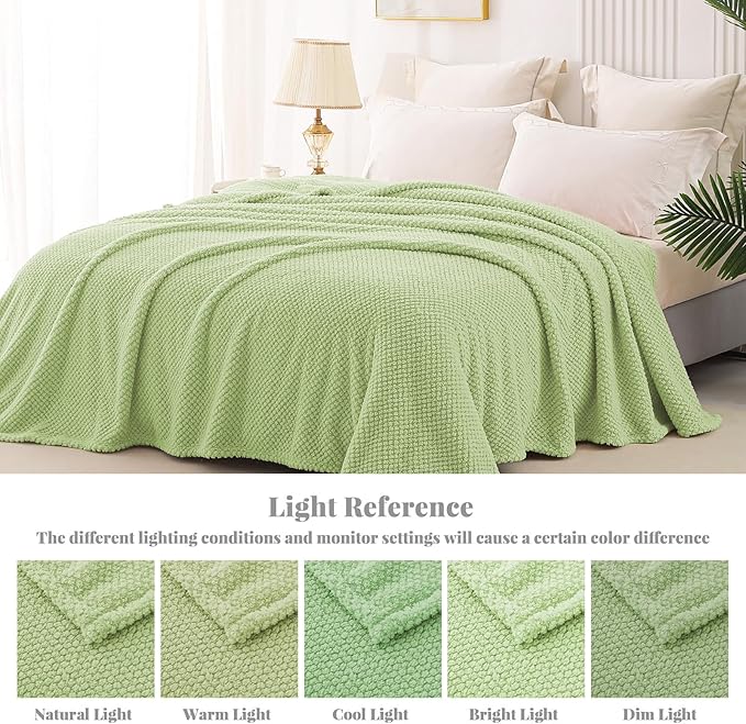 Whale Flotilla Queen Size Fuzzy Fleece Blanket for Bed, 90x90 Inch Fluffy Warm Soft Jacquard Blankets for All Season, Lightweight and Cozy, Sage Green