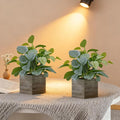 2 Pack Medium Fake Plants with 4 Inch Wooden Planters, 12" Tall Indoor Artificial Plants for Shelves, Desktop, Bedroom, Office Decor