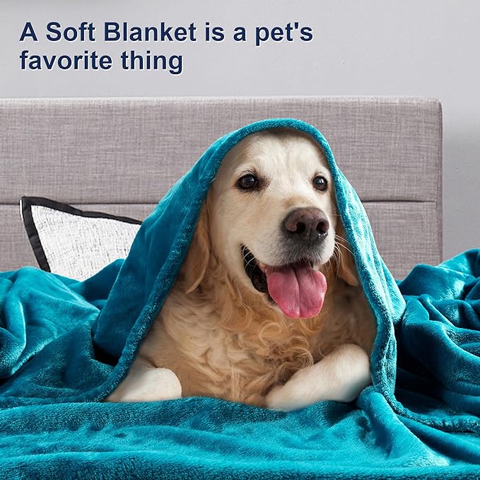 DREAMNINE Extra Large Soft Comfy Fluffy Fleece Bed Blanket Full Size 80" x 90", Luxury Huge Decorative Fuzzy Blanket for Women Girl, Big Cozy Shaggy Warm Flannel Blankets for Winter Autumn Pet, Teal