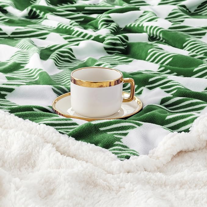 Touchat Sherpa Plaid Twin Blanket 60" X 70", Fuzzy Fluffy Soft Cozy Throw Blanket, Twin Size Plush Fleece Flannel Plush Microfiber Blanket for Couch Bed Sofa (GreenWhite)
