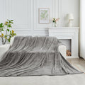 FY FIBER HOUSE Oversized King Blanket 120" x120" Seamless Extra Large Bed Blanket 10' x 10' Super Soft Plush Fuzzy Huge Blankets for Couch Office Sofa, Light Grey