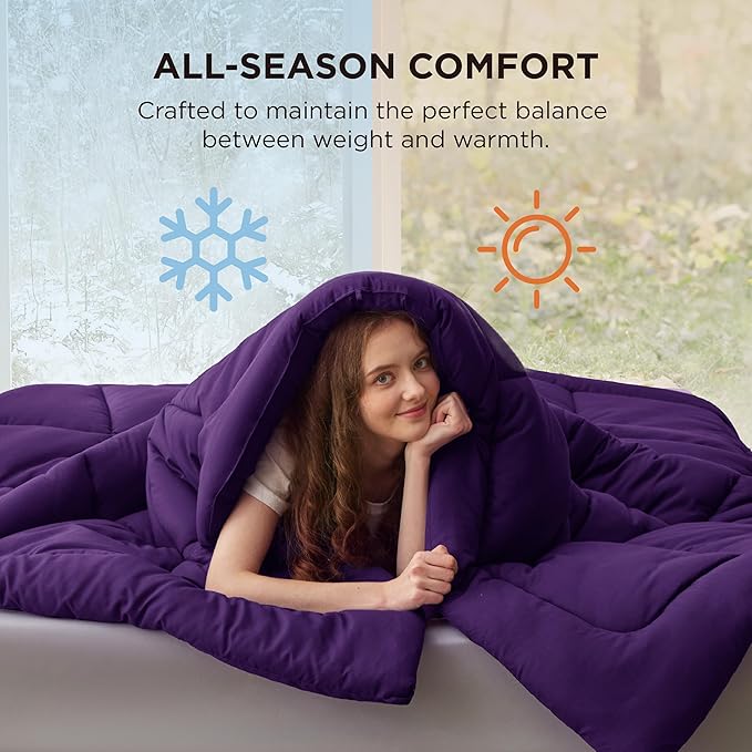 Bedsure Comforter Duvet Insert - Quilted Comforters Cal King Size, All Season Duvet, GentleSoft Down Alternative Bedding Blanket, with 8 Tabs, Gifts for Women/Men, Purple, California King 96X102 Inch