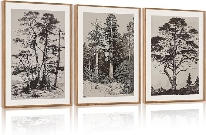 CHDITB Vintage Sketch Pine Tree Framed Canvas Wall Art Set Of 3, Antique Wilderness Forest Wall Decor, Nature Botanical Wall Painting, Modern landscape Art Prints for Living Room Bedroom(12X16 Inch)