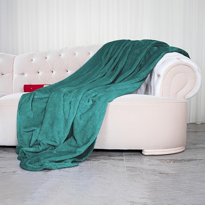 Elegant Comfort Luxury Velvety Softness Fuzzy Plush Micro-Velour Ultra-Soft Blanket, Full/Queen, Teal