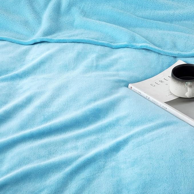 MOONLIGHT20015 Fleece Blanket Queen Size 8 Pack - Soft Fluffy Light Blue Throw Blanket for Couch & Sofa, Lightweight Luxury 400 GSM Microfiber Fuzzy Bed Blankets and Throws (90 x 90 Inches, Queen)