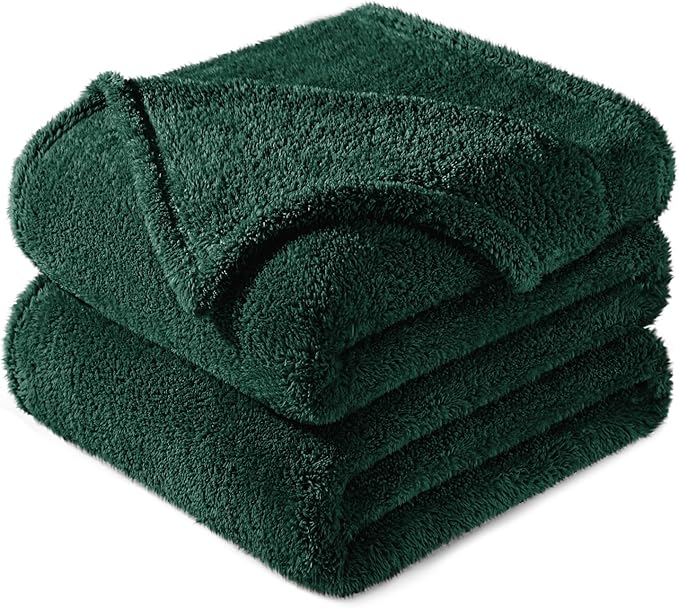 Exclusivo Mezcla Twin Size Blanket for Bed, Super Soft Velvet Plush Fleece Blankets, Fuzzy Cozy and Warm for Winter, 60x80 Inches, Forest Green