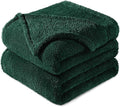 Exclusivo Mezcla Twin Size Blanket for Bed, Super Soft Velvet Plush Fleece Blankets, Fuzzy Cozy and Warm for Winter, 60x80 Inches, Forest Green