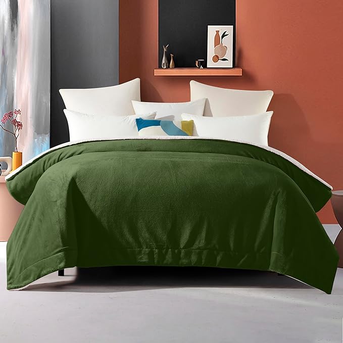 Elegant Comfort Ultra Soft Reversible Flannel Sherpa Blanket - Cozy Silky Fleece Throw for Couch, Bed - Plush Fuzzy Warm Winter Blanket for Gift, Queen, Sage