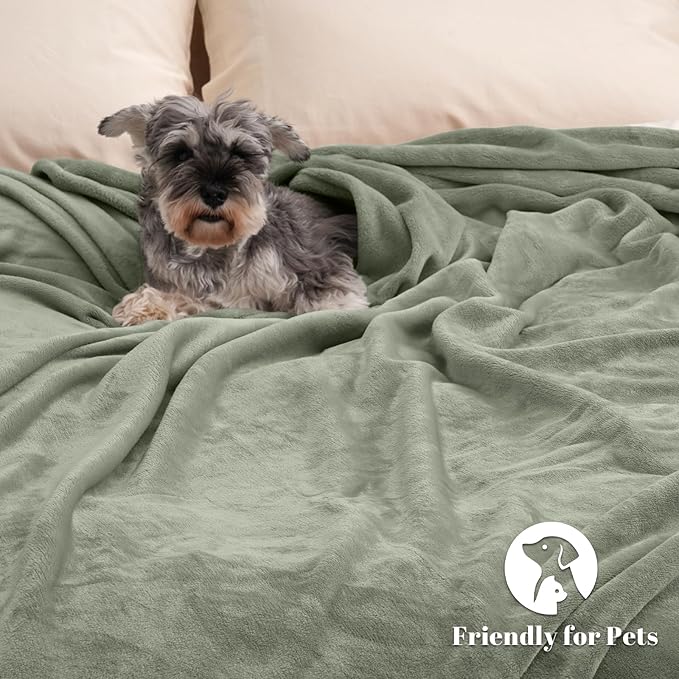 PHF Ultra Soft Fleece Blanket Queen Size, No Shed No Pilling Luxury Plush Cozy 300GSM Lightweight Blanket for Bed, Couch, Chair, Sofa, Perfect Decorations Gifts, 90" x 90", Seagrass