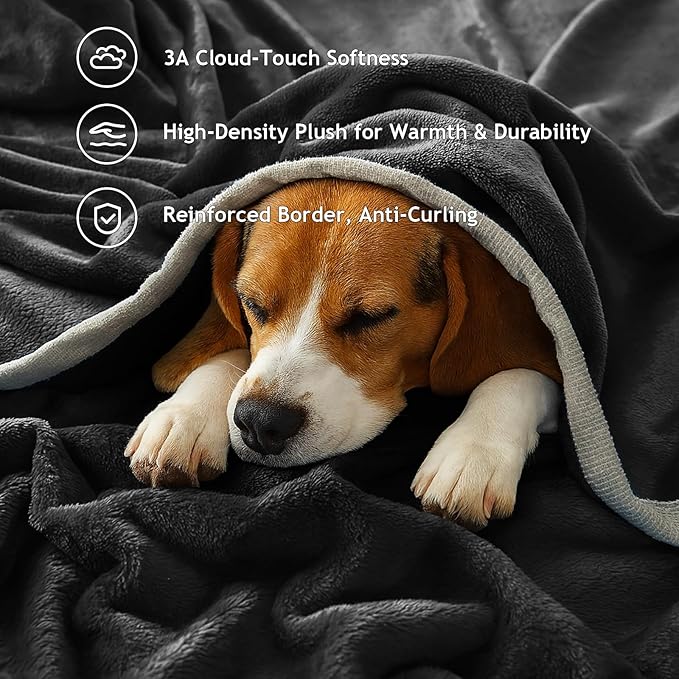 Fleece Bed Blankets Throw Size - Soft Lightweight Plush Fuzzy Cozy Luxury Blanket Microfiber Throw for Couch Bed,All-Season Breathable,40x60 Inches