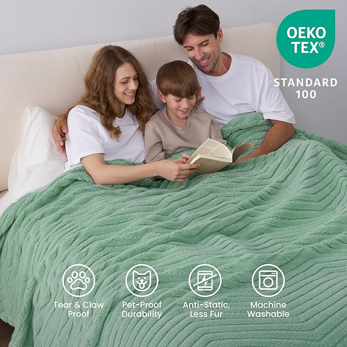 Joiedomi Queen Size Blanket for Bed, Soft & Warm Sage Green Fleece Blankets Gifts for Women Mom, Cozy Cute Soft Throw 90x90 Inches