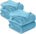 IR Imperial Rooms Fleece Blanket 2 Pack Twin Size 60x80 Inches - Super Soft Fluffy Throw Blanket for Sofa and Bed - Warm and Cozy Lightweight 400 GSM Microfiber Bed Throws Blankets (Light Blue)