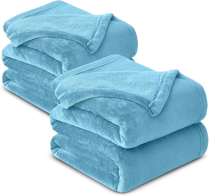 IR Imperial Rooms Fleece Blanket 2 Pack Twin Size 60x80 Inches - Super Soft Fluffy Throw Blanket for Sofa and Bed - Warm and Cozy Lightweight 400 GSM Microfiber Bed Throws Blankets (Light Blue)