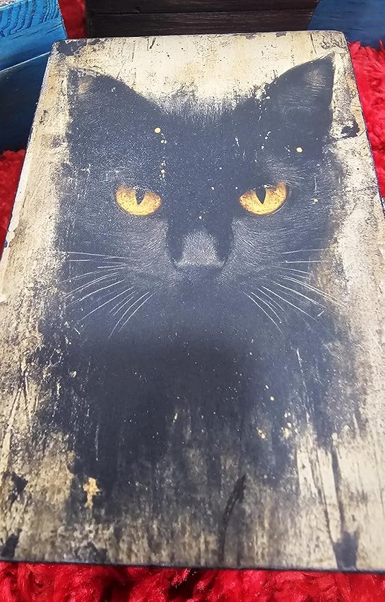 RK Collections Black Cat Trinket Box | Small Jewelry Keepsake Box | Pet And Paw Lovers Gift Idea For Animals (4 x2.75)