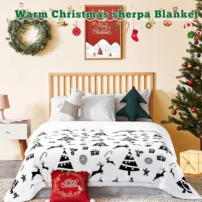 LBRO2M Sherpa Fleece Bed Blanket Queen Size,Christmas Super Soft Fuzzy Plush Warm Cozy Fluffy Microfiber Couch Throw Velvet Double Reversible Luxurious Blankets