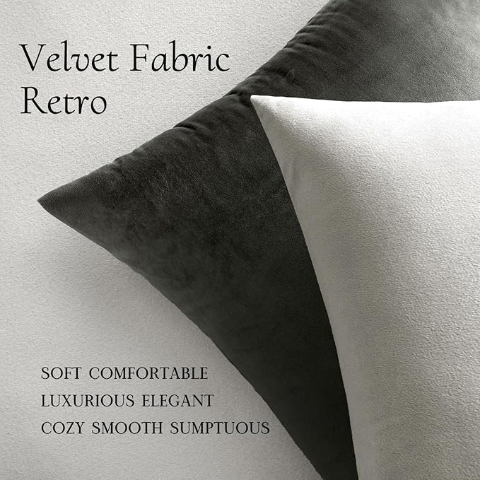 MIULEE Velvet Throw Pillow Covers 22x22 Inch, Pack of 2 - Greyish White, Soft Solid Decorative Pillow Covers Cushion Cases Modern Luxury Home Decor for Spring Couch Sofa Bedroom Livingroom