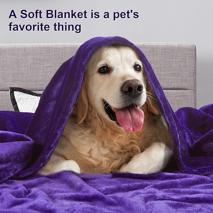 DREAMNINE Super Soft Fuzzy Fleece Throw Blanket for Couch Sofa 50" x 60",Decorative Solid Lightweight Velvet Blanket for Chair, Cozy Accent Shaggy Micro Plush Flannel Blankets for Bedroom Dorm, Purple