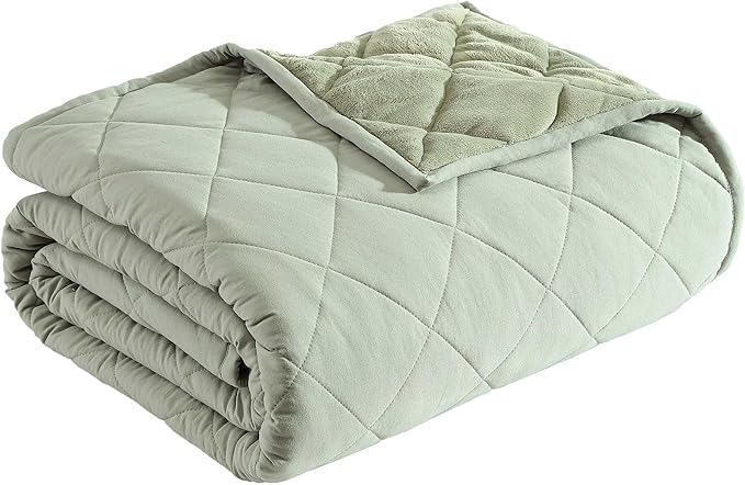 Eddie Bauer - Twin Size Blanket, Soft & Reversible Plush Bed Blanket, Brushed for Extra Softness with a Plush Smooth Texture, Throw Blanket for Couch or Bed (Classic Solid Green)