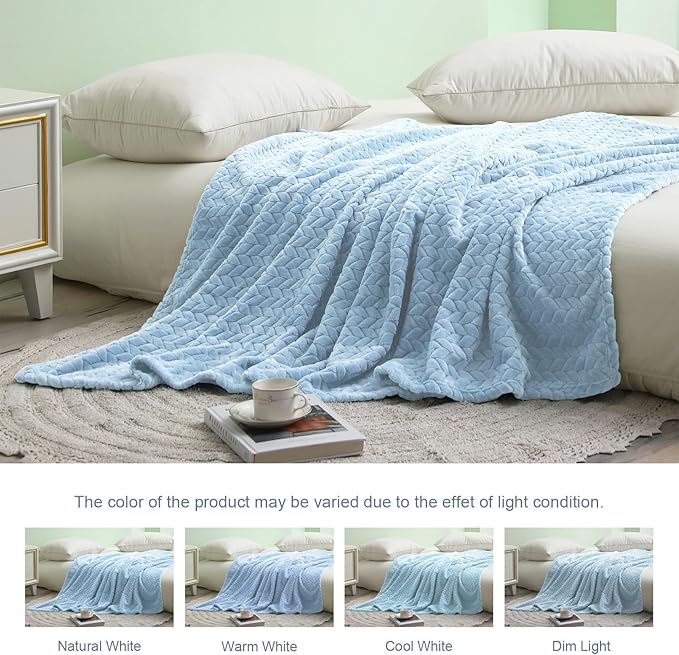 Exclusivo Mezcla Fleece Queen Size Blanket for Bed, 90x90 Inches Soft Cozy Jacquard Flannel Blankets, Lightweight Fuzzy Plush Warm for Women, Light Blue