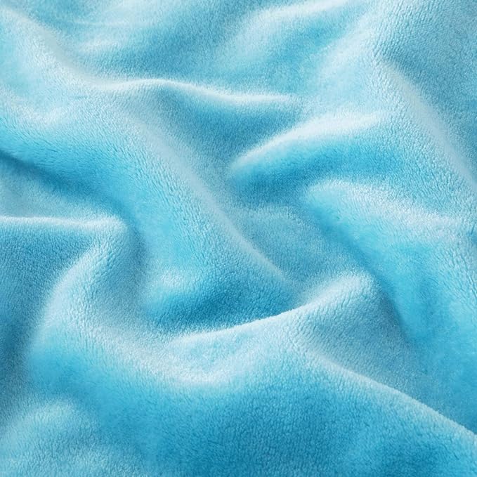 MOONLIGHT20015 Fleece Blanket Twin Size - Super Soft Cool Fuzzy Light Blue Throw Blanket for Couch and Sofa - Lightweight Luxury 400 GSM Microfiber Fluffy Bed Blankets and Throws 60 x 80 Inches (Twin)