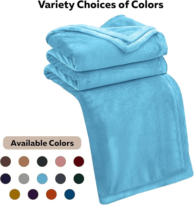 IR Imperial Rooms Fleece Blanket 2 Pack Twin Size 60x80 Inches - Super Soft Fluffy Throw Blanket for Sofa and Bed - Warm and Cozy Lightweight 400 GSM Microfiber Bed Throws Blankets (Light Blue)