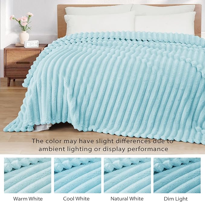 Exclusivo Mezcla Queen Size Flannel Fleece Blanket, Super Soft Striped Jacquard Bed Blanket, Lightweight Fuzzy Cozy for All Seasons, 90x90 Inches, Light Blue