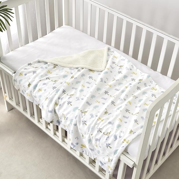 CREVENT 2Pcs 30''X40'' Cute Cozy Fluffy Warm Baby Blankets for Infants Toddlers' Bedding Crib Cot Stroller - Grey Cloud + Minky Dinosaur