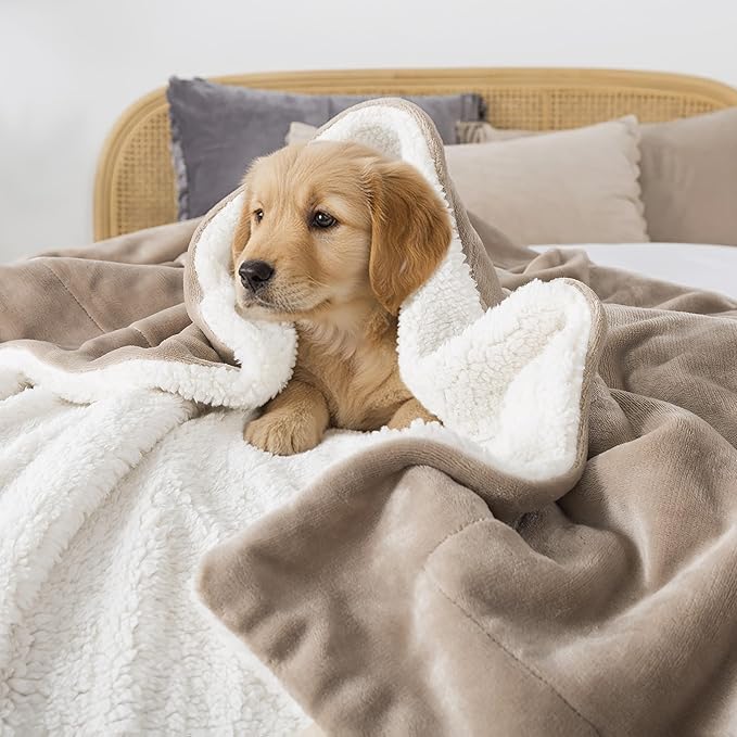 WDCOZY Sherpa Fleece Blankets Fuzzy Warm Throw Blanket Thick Super Soft Reversible Luxurious Fluffy Plush for Sofa Couch Bed Home Decor All Seasons Winter Blankets Tan Camel Beige 50"x60"