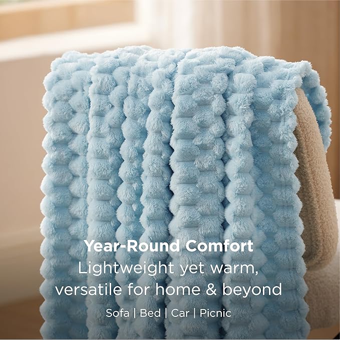 Bedsure Twin Blanket for Bed - 350GSM Fluffy Plush Bubble Blanket for College Dorm for Home Room Decor, GentleSoft Cute Fleece Soft Cozy Gifts for Women Girls, Light Blue, 60x80 Inches