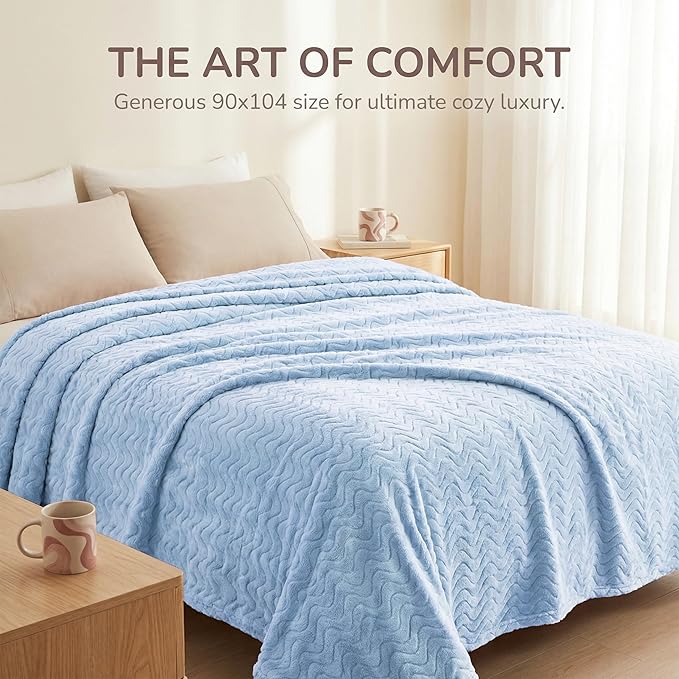 Exclusivo Mezcla Twin Blanket for Bed, Cozy Lightweight Fleece Blankets for All Season, Decorative Giftable Fuzzy Plush Wave Textured Suitable for Women, Men, Light Blue, 90x66 Inches
