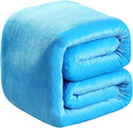 Polar Fleece Blankets Queen Size Light Blue for The Bed Extra Soft Brush Fabric Super Warm Sofa Blanket 90" x 90"(Lake Blue Queen)