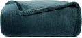 Casual Living Full/Queen Fleece Blanket Fluffy Soft Warm Cozy Bed Blankets for Bedroom Decor Plush Thick Fuzzy Oversized Big Flannel Throw for Bed Chair or Outdoor, 90-inch x 90-inch, Dark Green