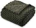 Super Soft Fleece Twin Blanket 50x70 Inches for Couch, Premium Silky with 3D Imitation Turtle Shell Jacquard Decorative Blankets, Lightweight and Cozy for Sofa.Green