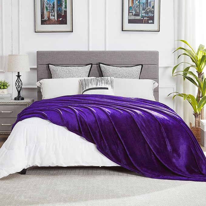 DREAMNINE Oversized Soft Fuzzy Fleece Throw Blanket Twin Size 60" x 80",Decorative Large Solid Lightweight Velvet Bed Blanket,Big Cute Cozy Accent Shaggy Microfiber Flannel Blankets for Bedroom,Purple