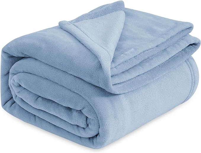 Bedsure GentleSoft Fleece Bed Blankets Queen Size Light Blue - Soft Lightweight Plush Fuzzy Cozy Luxury Blanket Microfiber, 90x90 inches