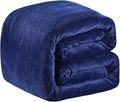 Polar Fleece Blankets King Size for The Bed Extra Soft Brush Fabric Super Warm Sofa Blanket 90" x 108"(Royal Blue King)